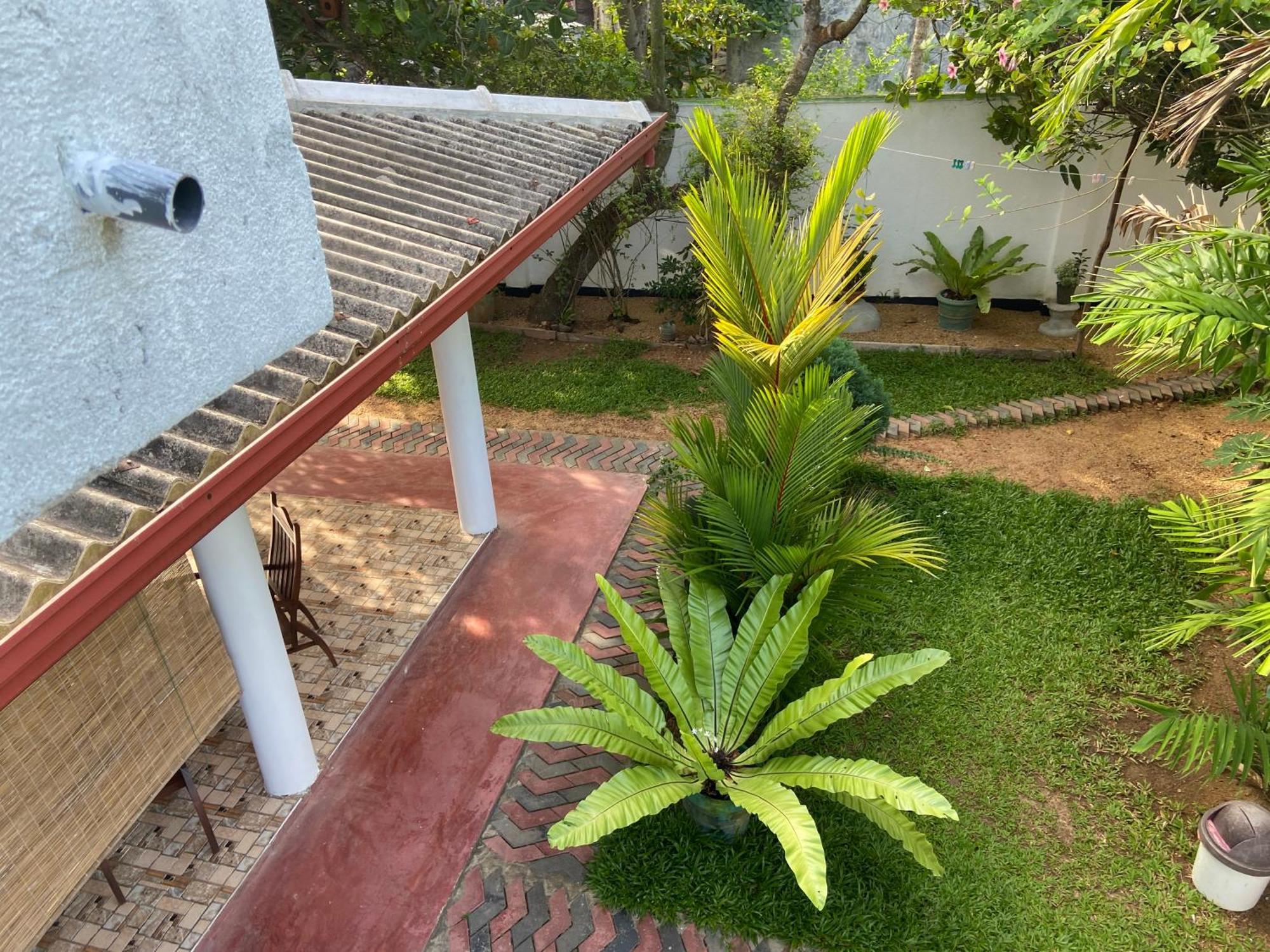 Mirissa Gold Rush Villa 외부 사진